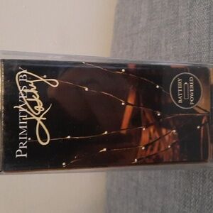 Willow Stem Branch Lights LED Battery Operated On/Off Timer Feature 6/18 NIB